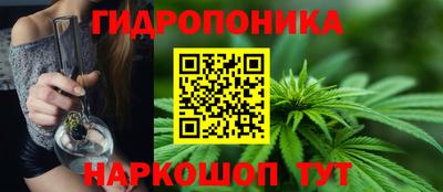 молекула духа Гагарин