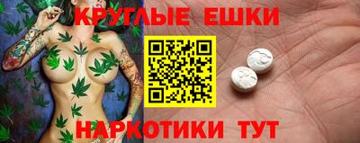 стаф Гай
