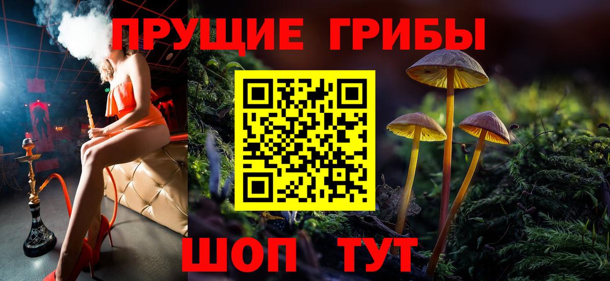Галлюциногенные грибы GOLDEN TEACHER  Вход с VPN  Мыски 