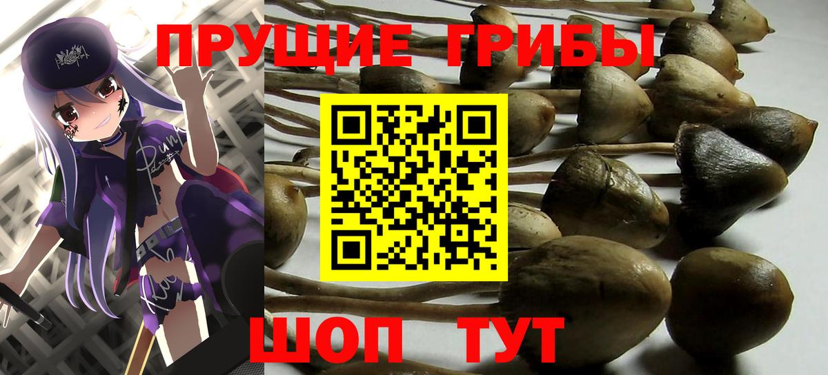 Псилоцибиновые грибы GOLDEN TEACHER Мыски