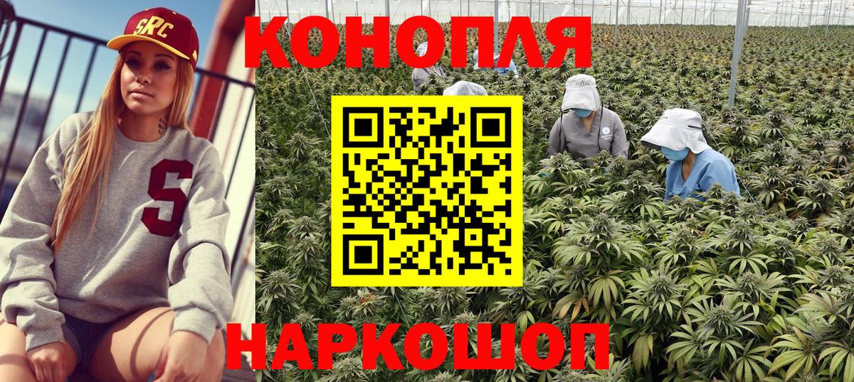 Шишки марихуана семена Мыски